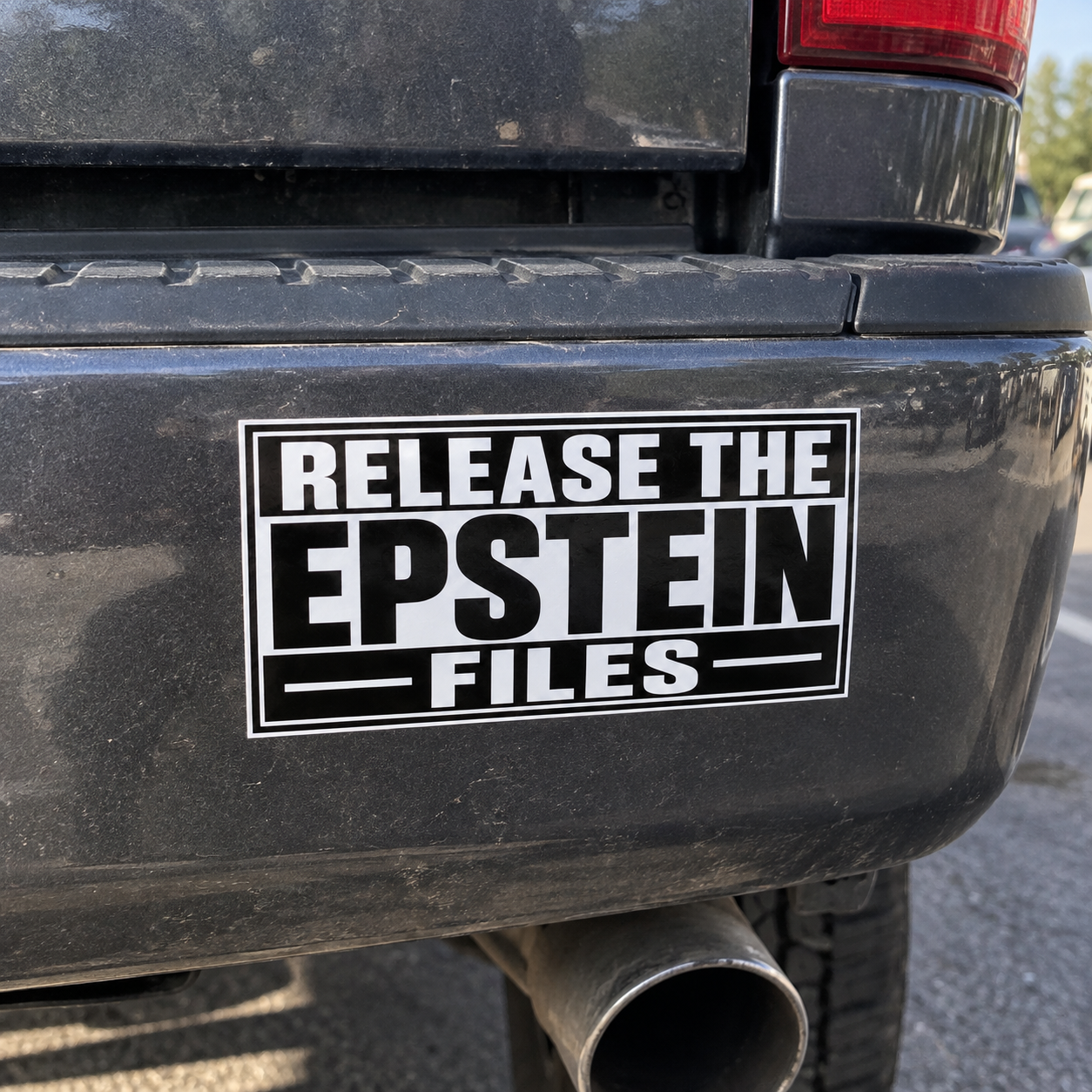 'Release the Epstein Files' Vinyl Sticker